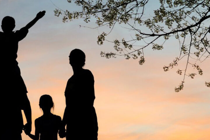 A father, mother, and two children watching the sunset next to a tree