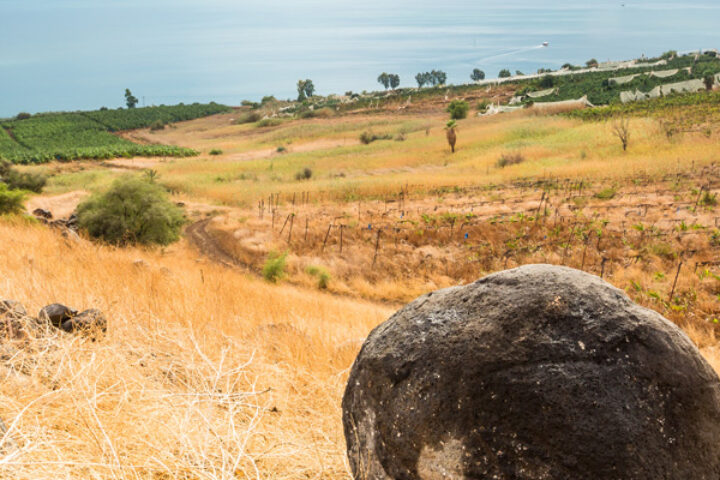Hill overlooking Sea of Galilee